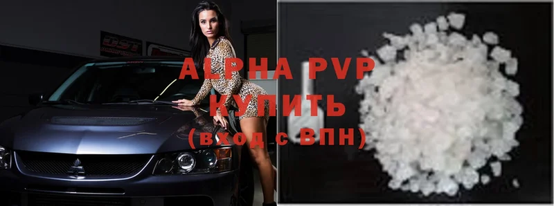 Alfa_PVP СК КРИС Бабушкин